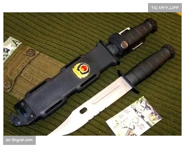 深度报道:意大利教练学院课程更新,强调战术多样性以适应不同俱乐部风格